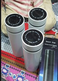 (Pack of 2) Temperature Display Thermos Water Bottle (Hot & Cold) |