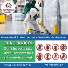 Mosquito killer spray ,Dengue Spray, Pest control service