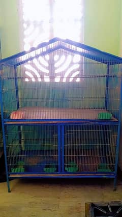 parrot