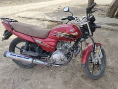 Yamaha YBR 125 DX 2021