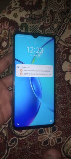 vivo
