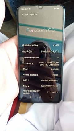 vivo