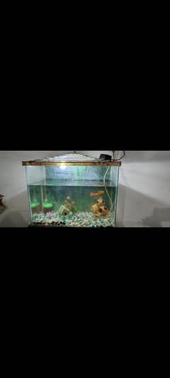Fish aquarium | 2 by 2 aquarium customize
