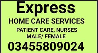 House maids, Baby sitter, Cook , Couple , Driver , Patient Care, Nany