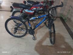 japani cycle