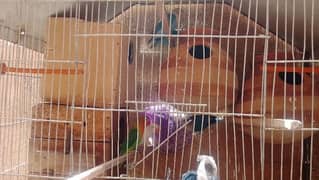 cage