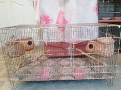 birds cage for sale