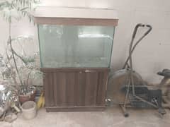 excellent fish Equriam for Sale With all Accessories