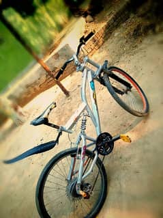 cycle for sale