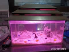 Aquarium