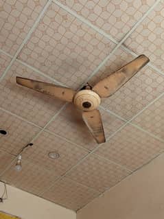 ceiling