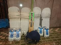 Cricket