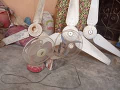 fans phanka