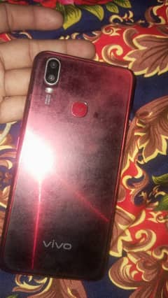 vivo