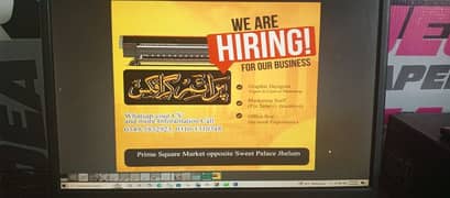 graphic designer, marketing staff,office boy