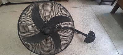 fan