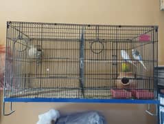 Austeralin meto with cage for sale