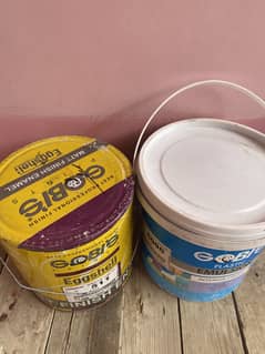 Gobis colour