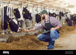 Farmer Required | Urgent Hiring | Jobs in Chakwa