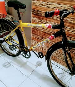 bicycle