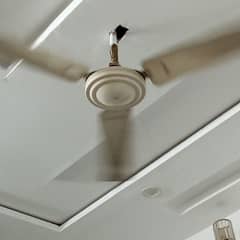 fan (celling )
