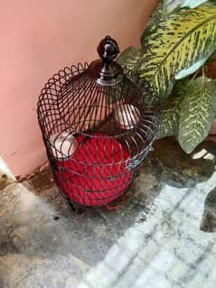 Raw parrot cage