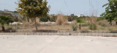 Zamar