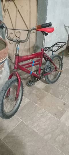 Cycle