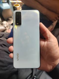 vivo