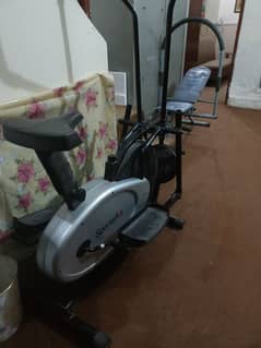 Exercise cycle with twister