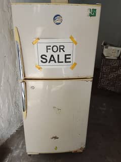 pel fridge medium size