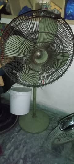 Bhot