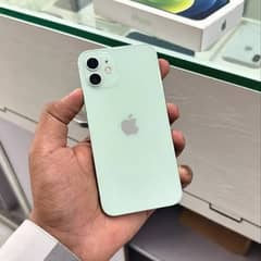 Iphone 12 Green Color