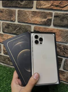 iphone 12 pro max 256 gb