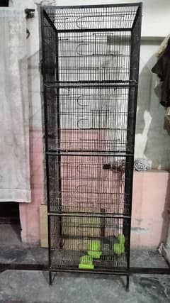 Cage for birds