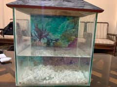 Stylish Small Fish Aquarium – Ideal for Home or Office Decor