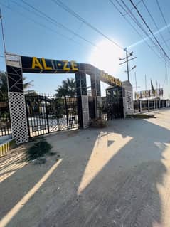 Ali