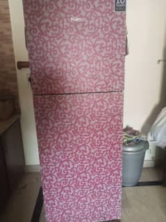 Glass Door Fridge