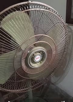 Younas Fan