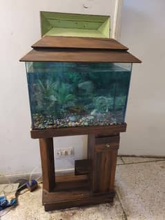 Aquarium Price 10000