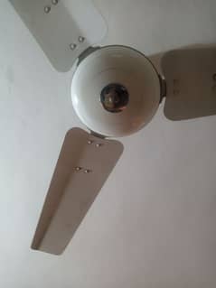 Ceiling Fans 2 Years Used