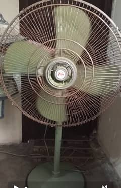 younas fan