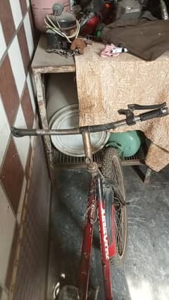 Phoenix cycle