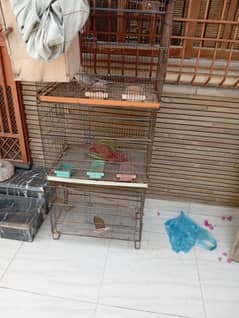 breeder