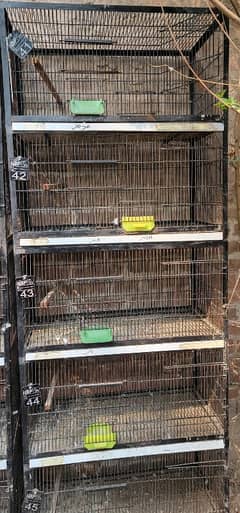 pinjar ha billkul brand new cage ha AK dafa bass istmal Howa ha