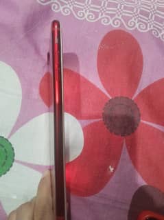 7 plus non pta