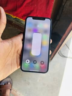 iPhone 12 mini