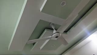 Ceiling fans