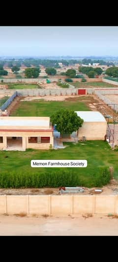 Cattle farm house