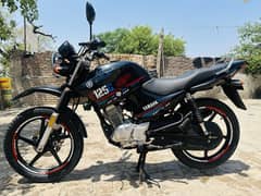 Yamaha